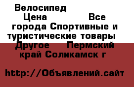 Велосипед Viva Castle › Цена ­ 14 000 - Все города Спортивные и туристические товары » Другое   . Пермский край,Соликамск г.